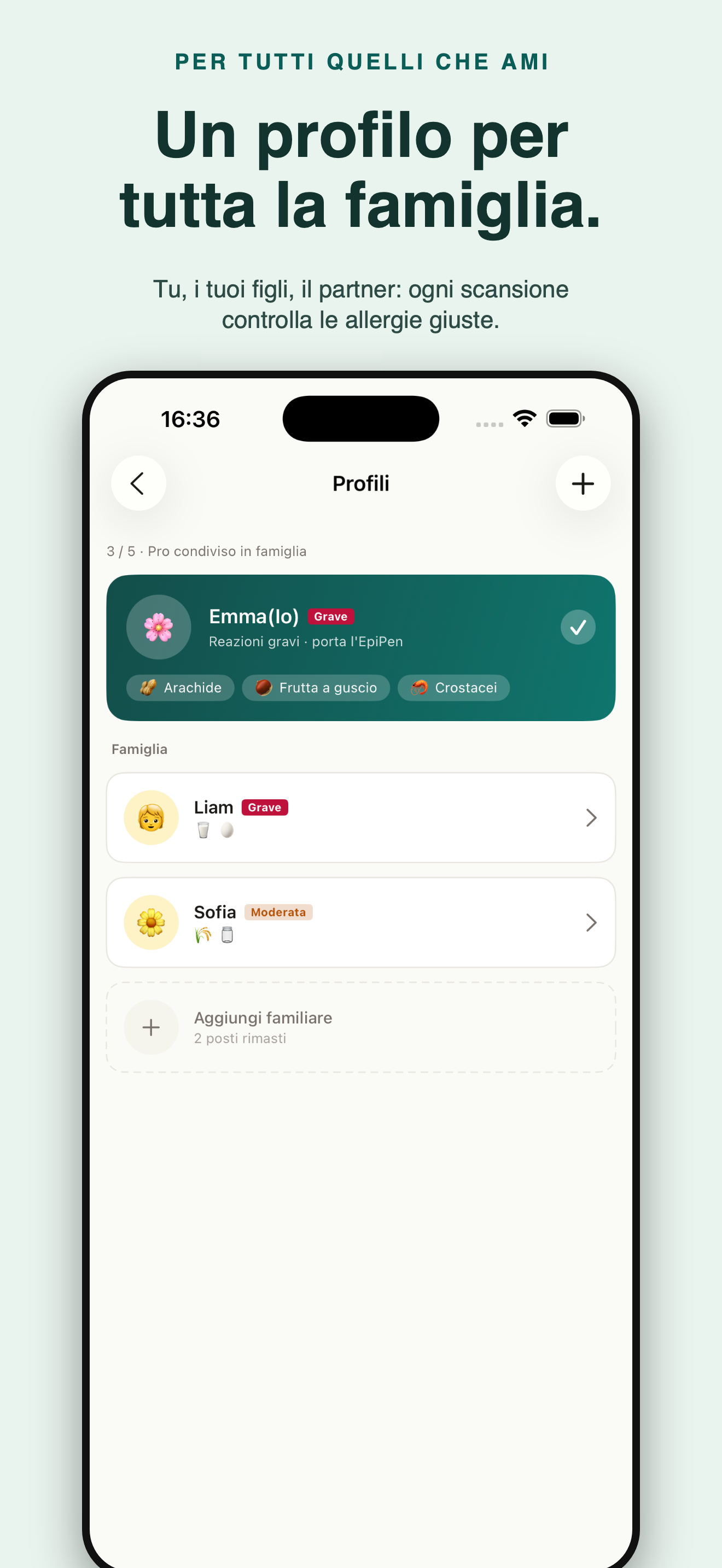 AllergyLens: scanner allergeni — 3