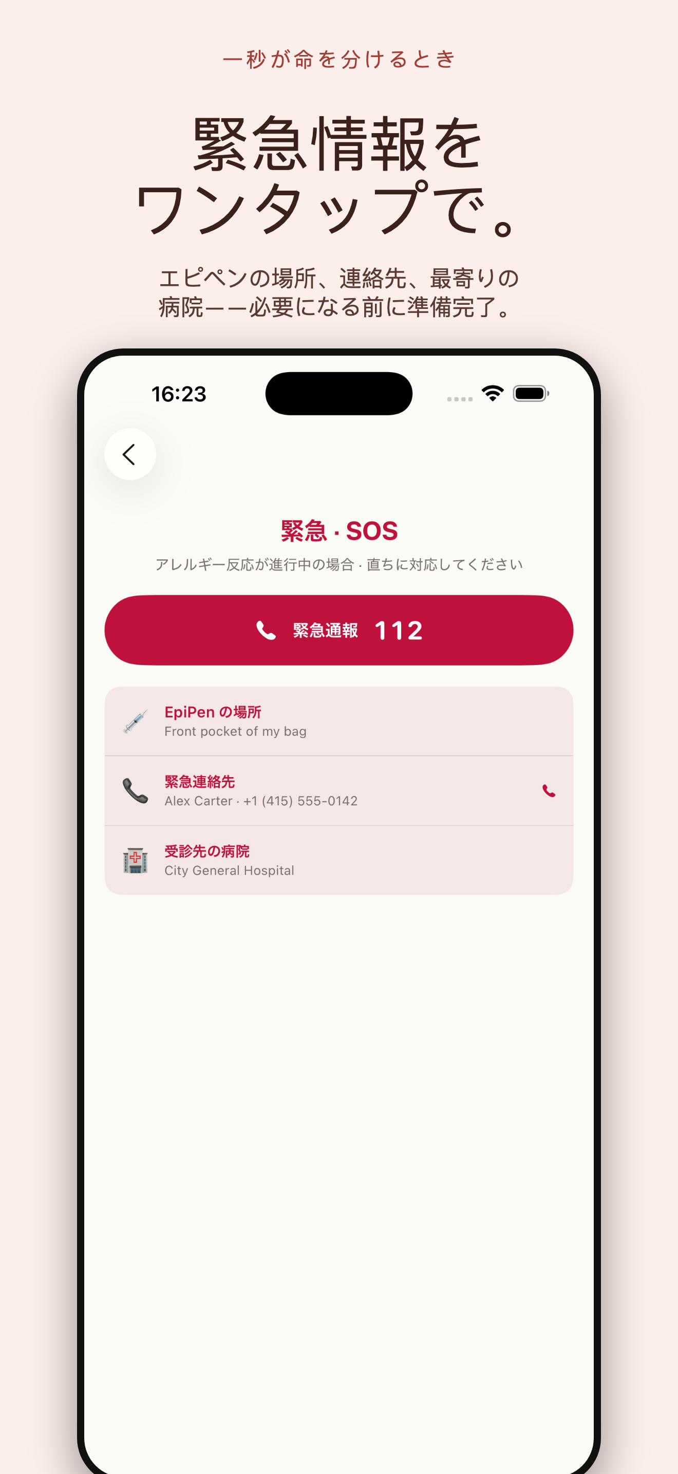 AllergyLens：アレルゲン検出 — 4