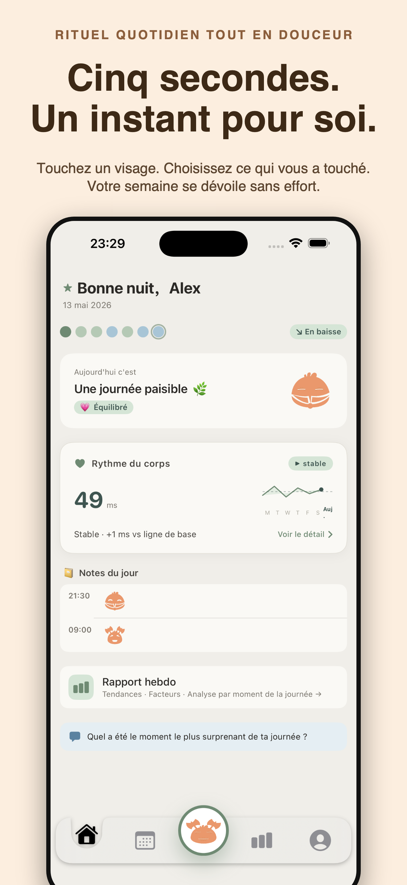 Cozy : Humeur et compagnon — 1