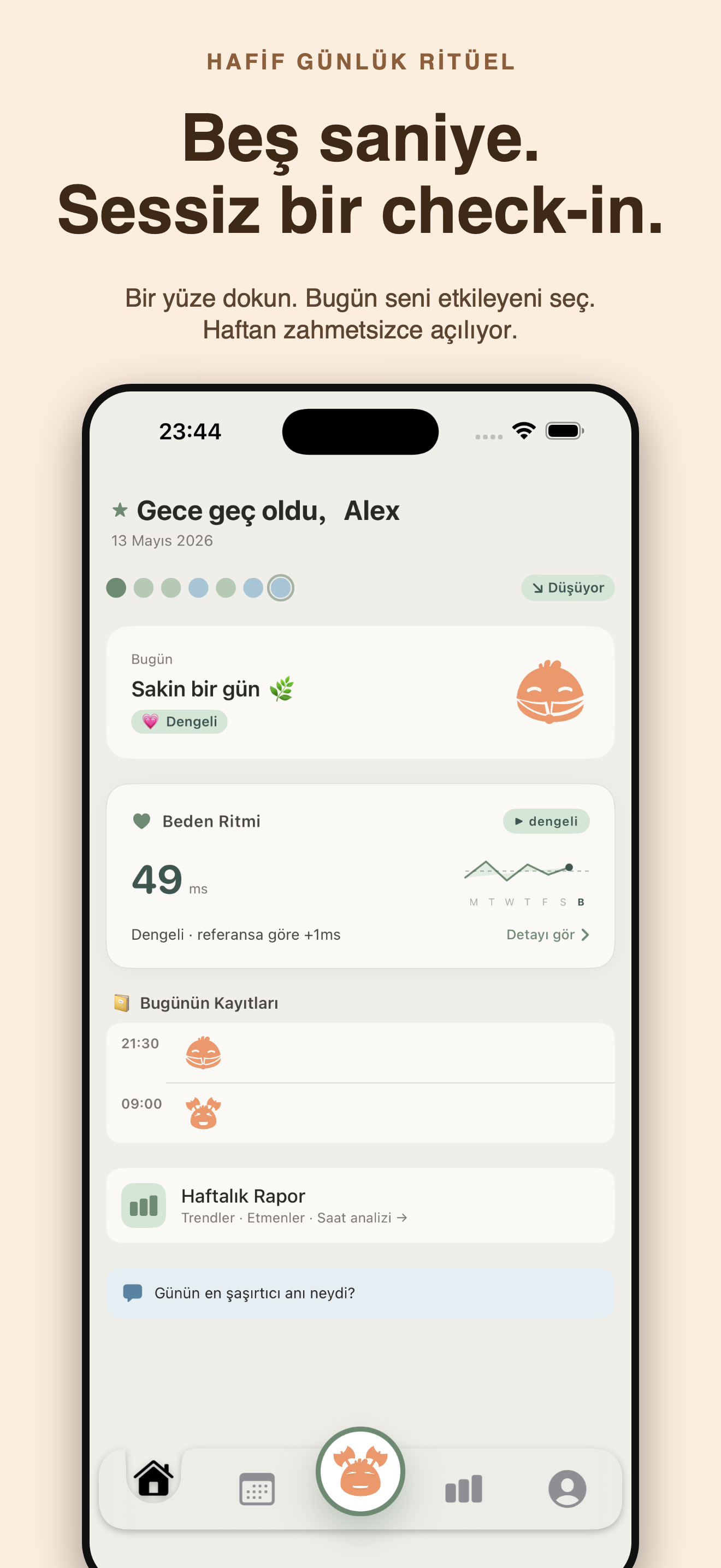 Cozy: Ruh Hali ve Evcil Dost — 1