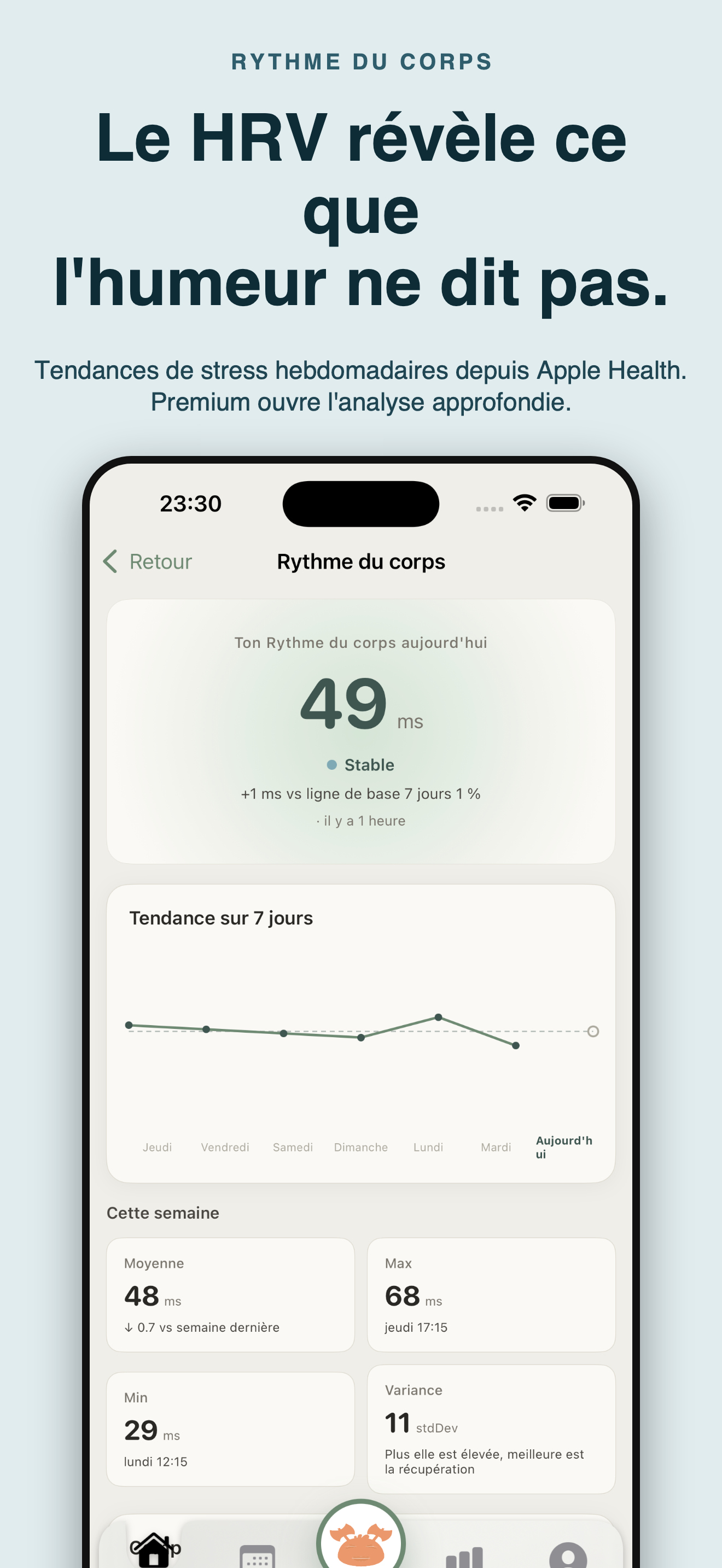 Cozy : Humeur et compagnon — 3