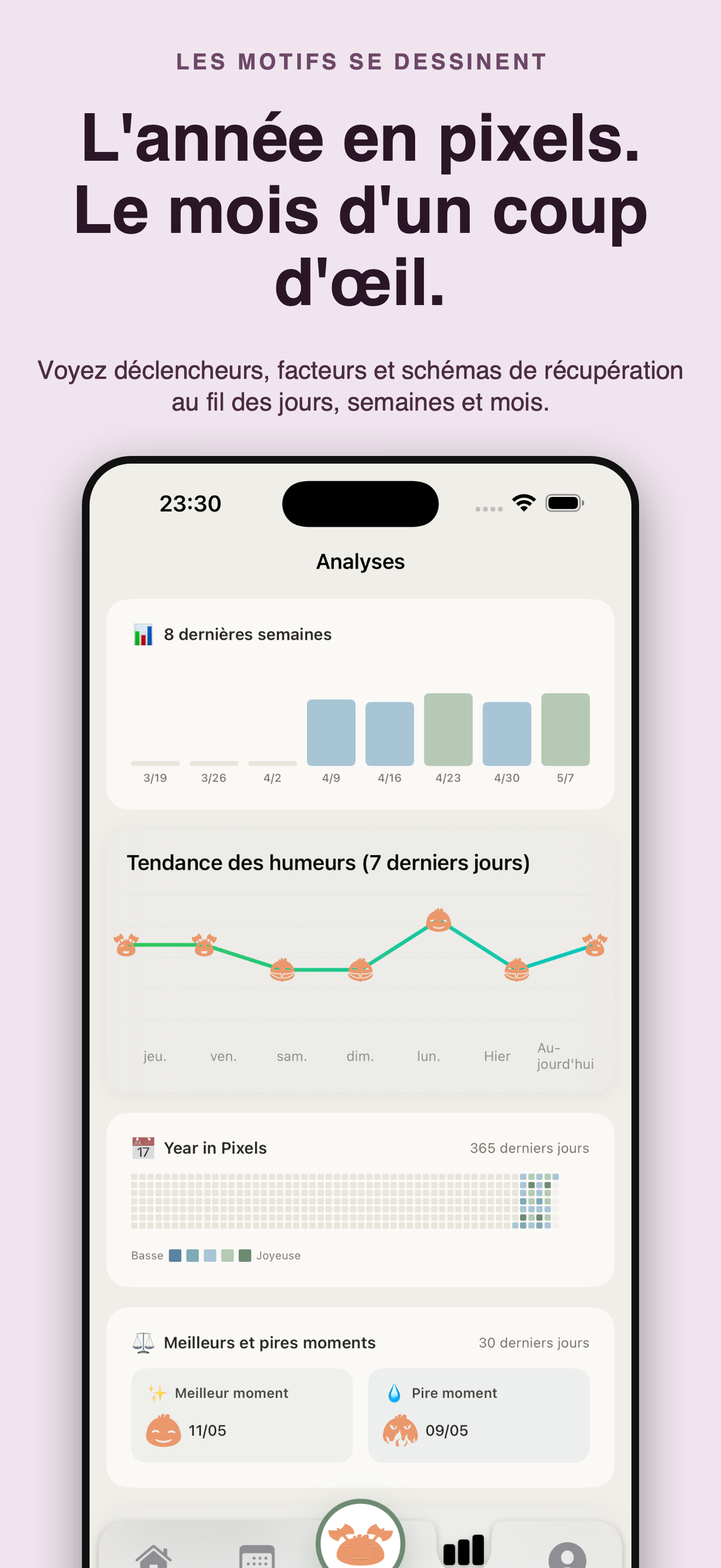 Cozy : Humeur et compagnon — 4