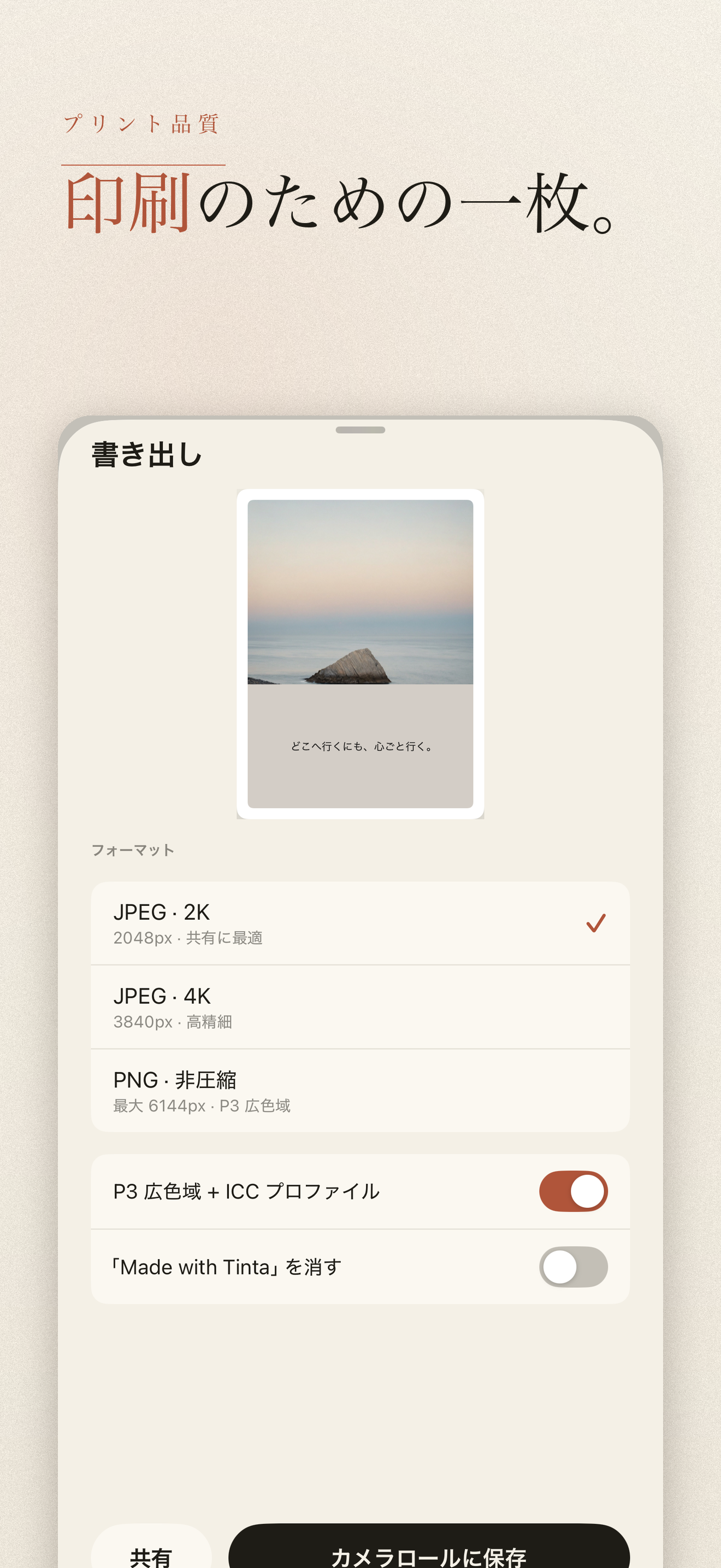 Tinta-写真の配色パレットとカラーコード — 5
