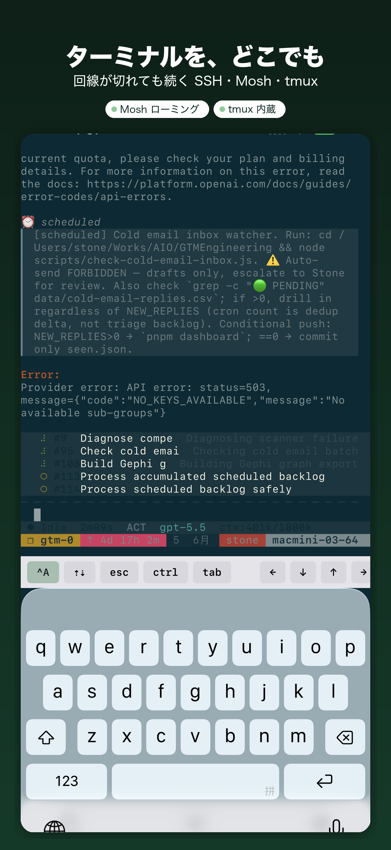 YoloShell: SSH Mosh tmux VNC — 1