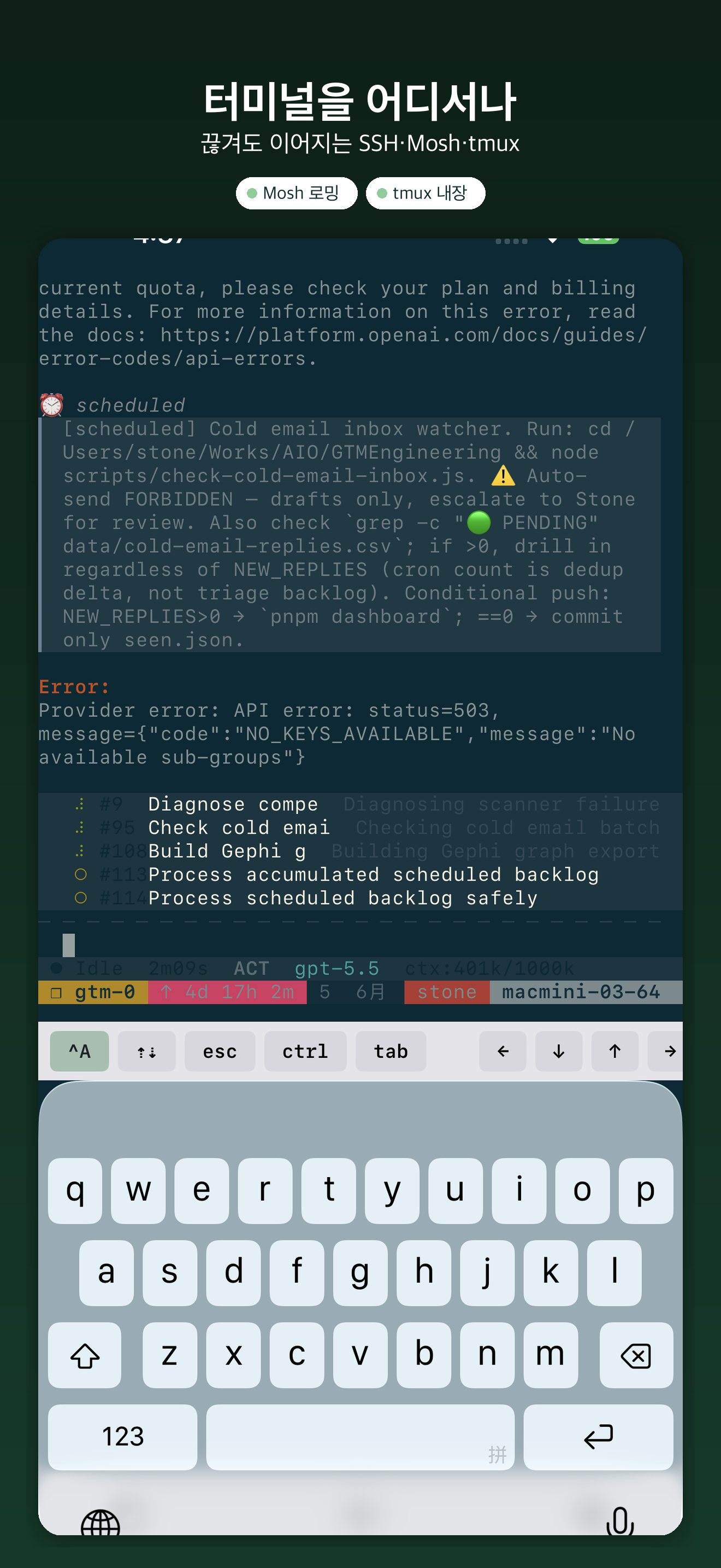 YoloShell: SSH Mosh tmux VNC — 1
