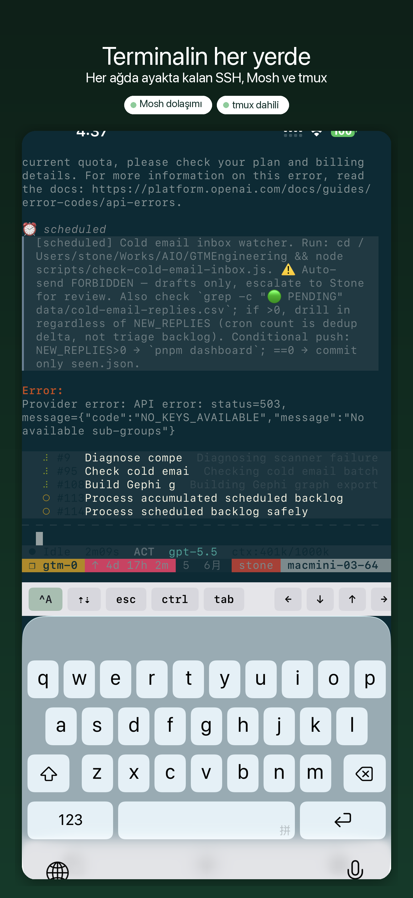 YoloShell: SSH Mosh tmux VNC — 1